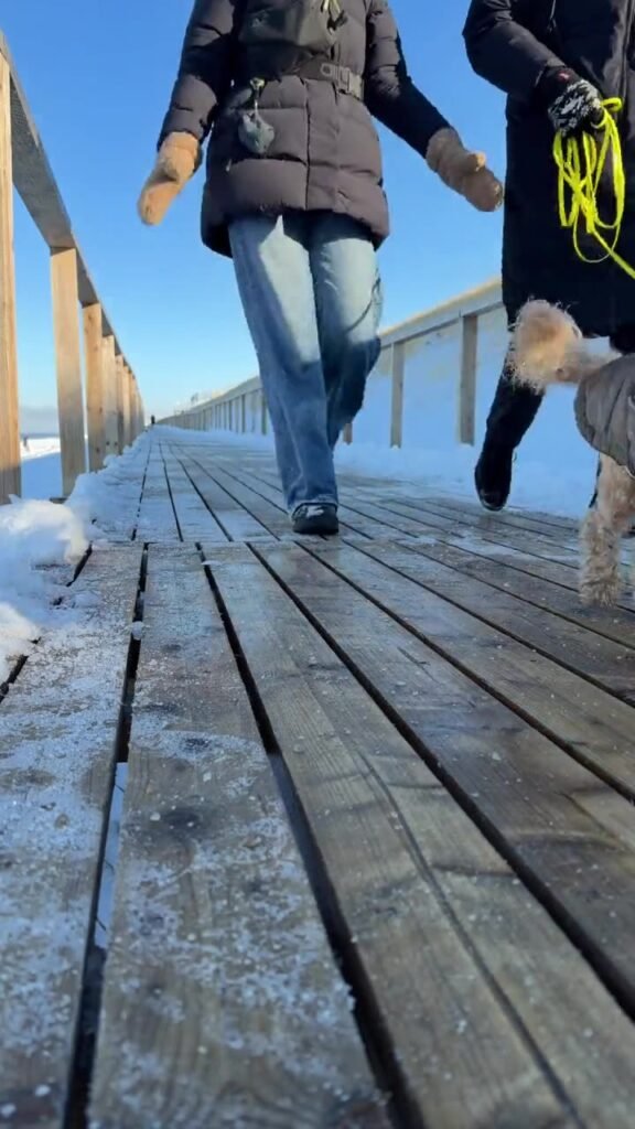 Zwei Personen und ein Hund gehen im Winter über einen verschneiten Holzsteg in der Sonne